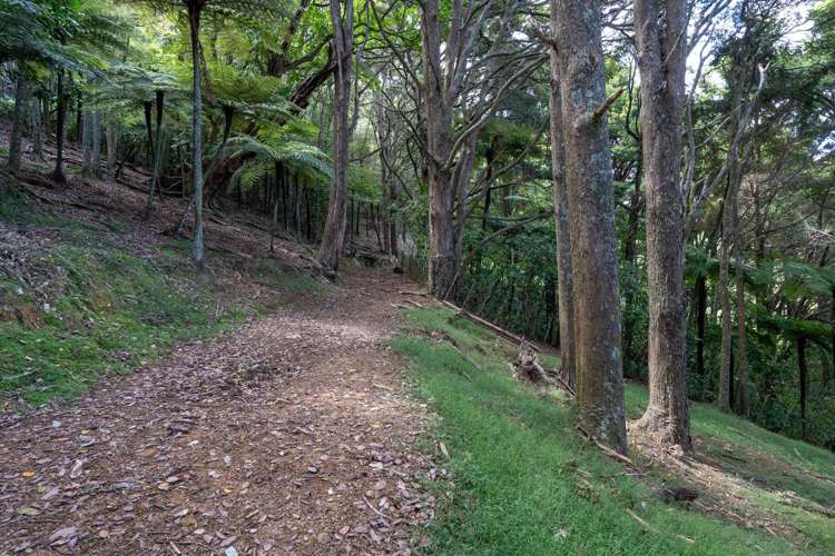 229 Hupara Road Pakaraka_12