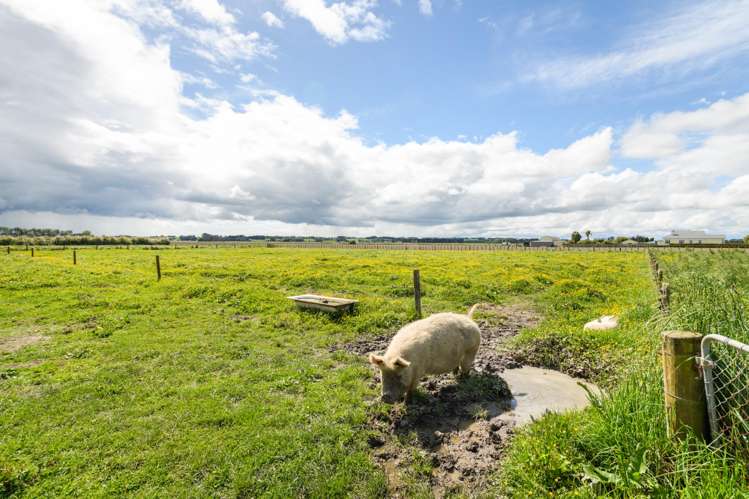 436 Green Road Rongotea_2