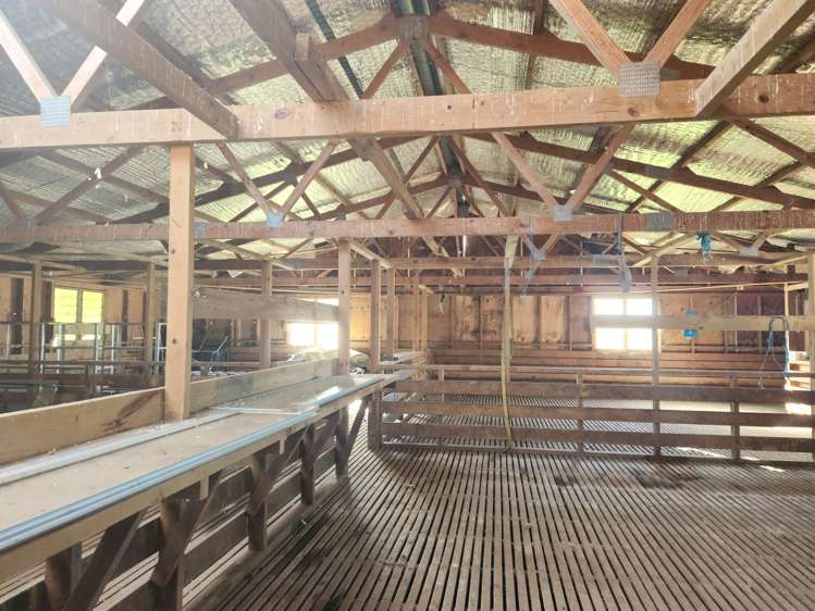 336 Dominion Road Tuakau_22