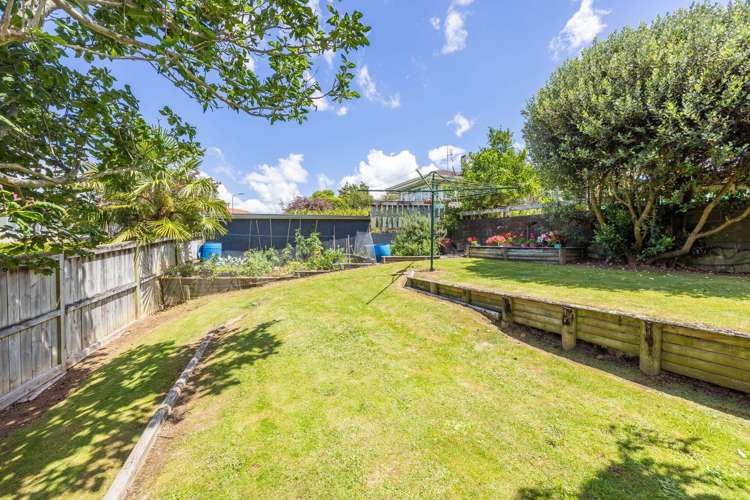 141 Totara Street Te Awamutu_16