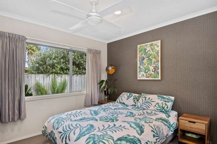 14B Linley Terrace Judea_11