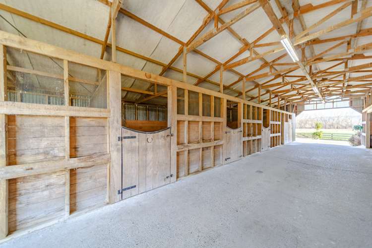 248 Racecourse Road Hawkes Bay_11