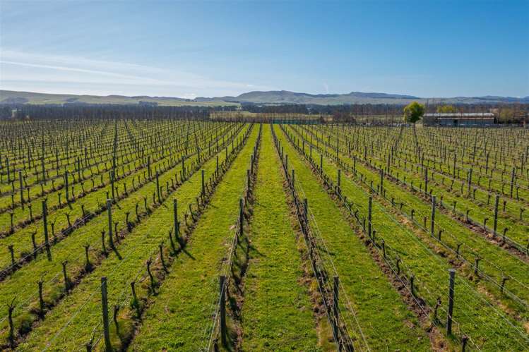 328 Georges Road Amberley_4