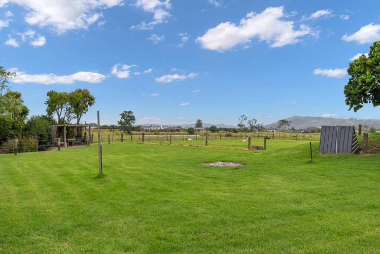 121 Nova Scotia Drive Waipu_22