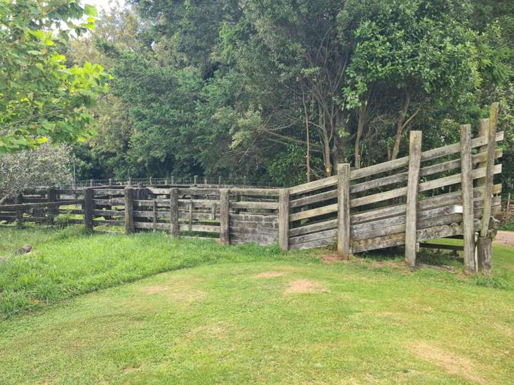 1707 Te Matai Road Te Puke_20