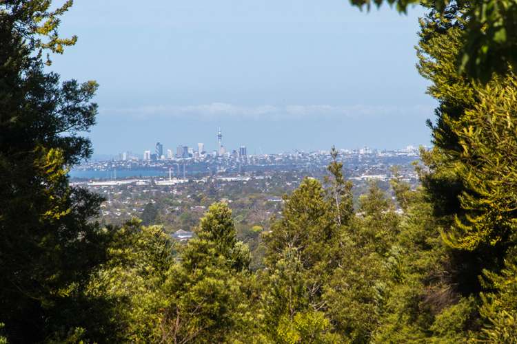 31 Awhiorangi Promenade Swanson_17