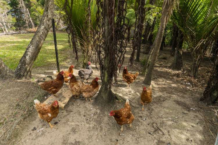 163a West Road Kaukapakapa_27