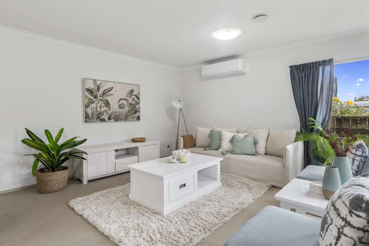 192 Fifteenth Avenue Tauranga South_8