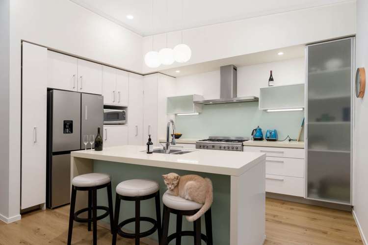 4 Ilam Lane Fairview Heights_9