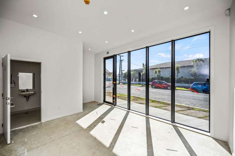 138 Marsden Avenue Mt Eden_13