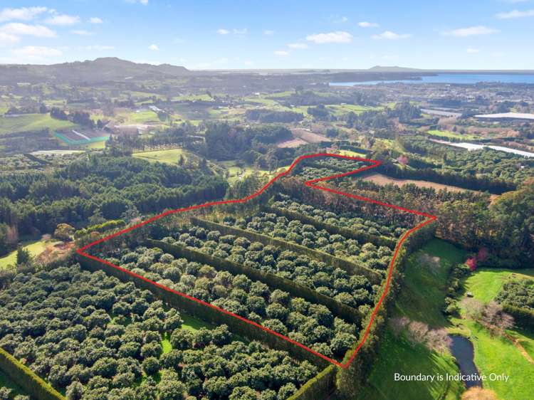 12 Timon Drive Hauraki Surrounds_15