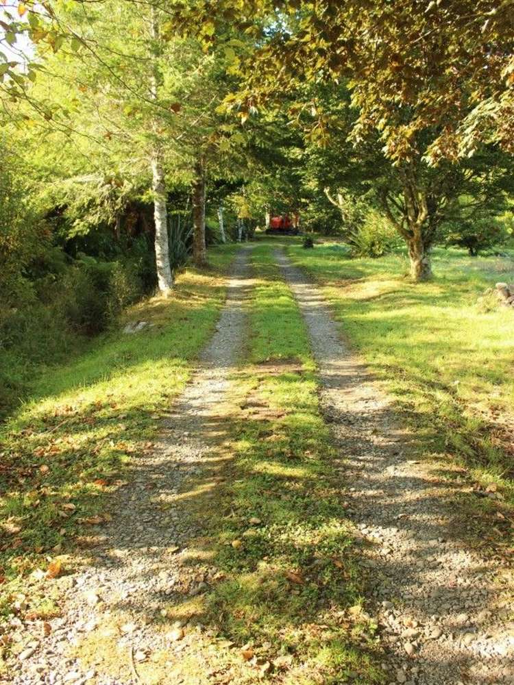466 Wangapeka Road Kahurangi National Park_12