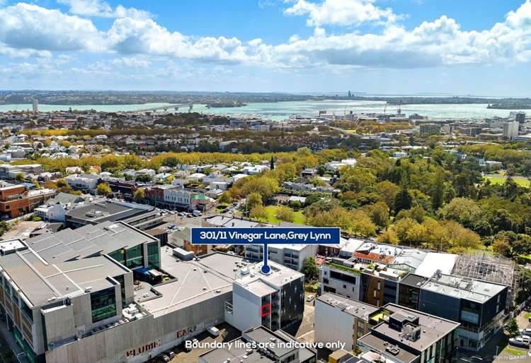 301/11 Vinegar Lane Grey Lynn_7