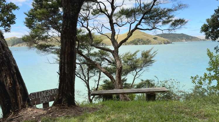 Te Akau Wharf Road Te Akau_12