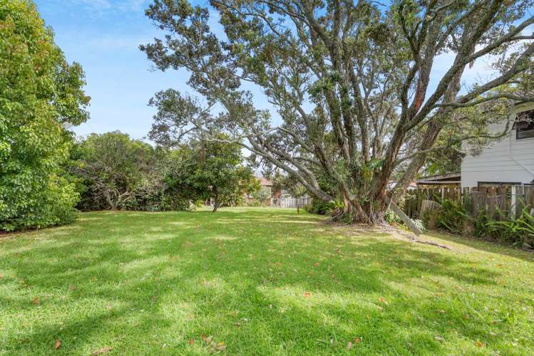 3 Linden Street Mt Roskill_21