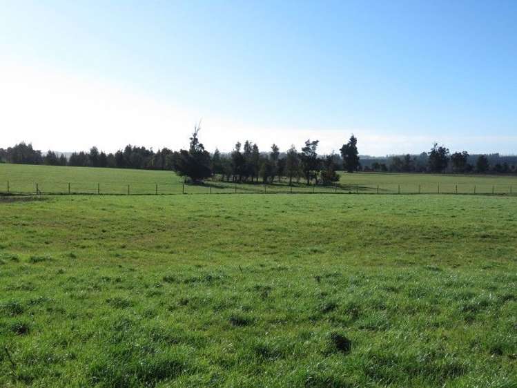 1248 Peel Forest Road Mesopotamia_7