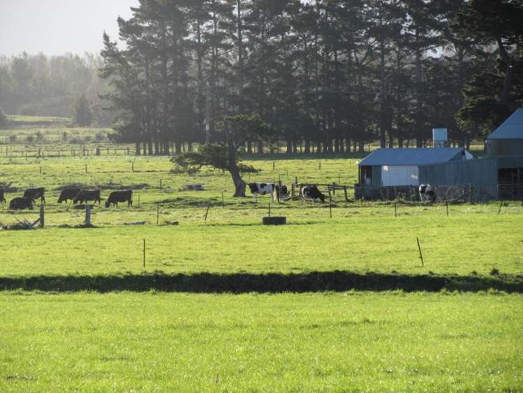 2246 Kahutara Road Kahutara_10