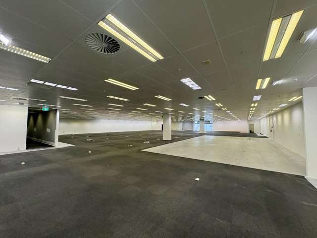 Tenancy 6, 683 Cameron Road Tauranga_2