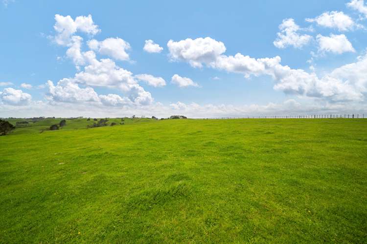 137 Lincoln Road Masterton_6