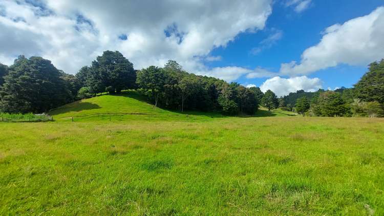 23 Jellick Road Hikurangi_27