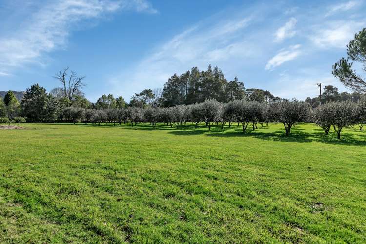 86 Main Road Kauri_17