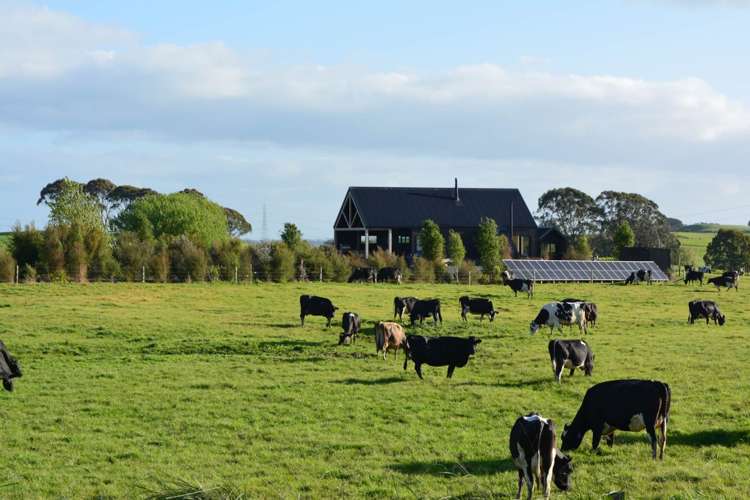 437 Tauhei Road Morrinsville_20