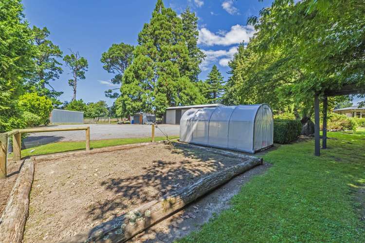 428 Kowai Road Springfield_33