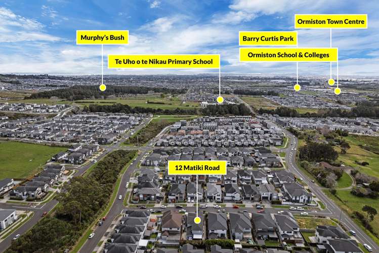 12 Matiki Road Flat Bush_54