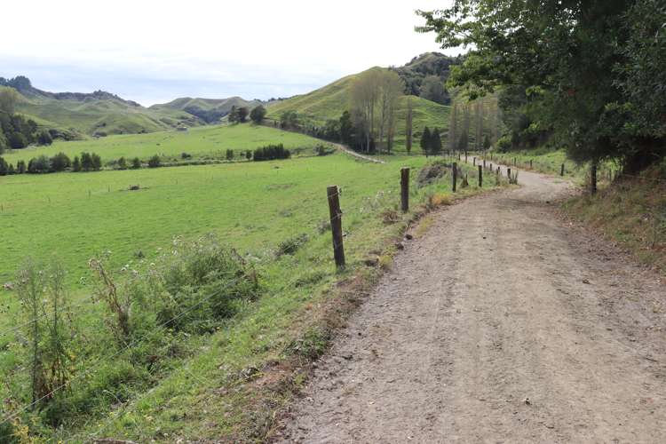 292 Gordon Road Toko_24