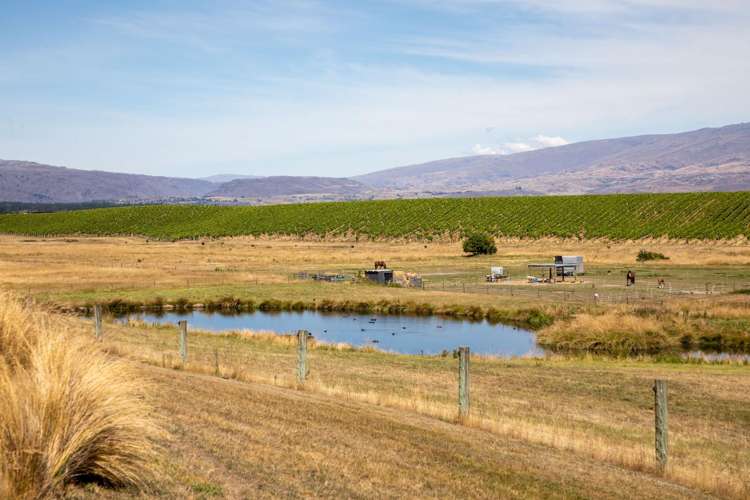 317 Golden Road Springvale Alexandra_29