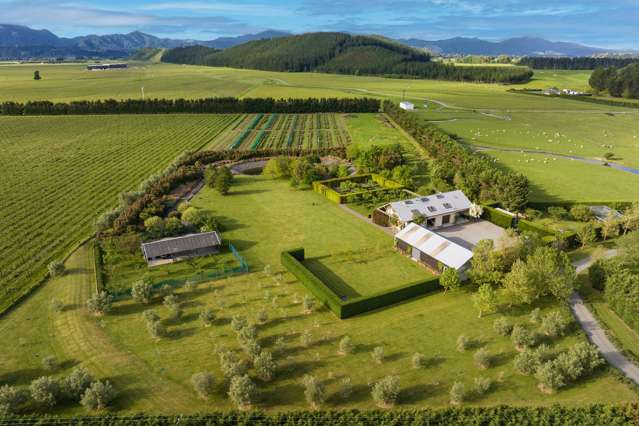 Lifestyle and diverse income