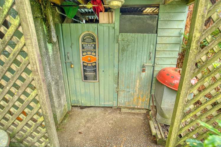 1903 Lake Mitchells Road Inchbonnie_29