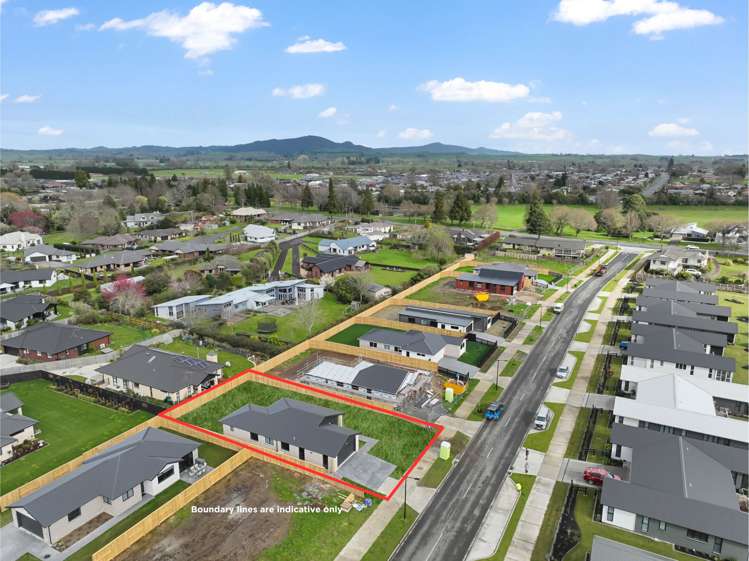 16 Tokotoko Parade Matamata_16