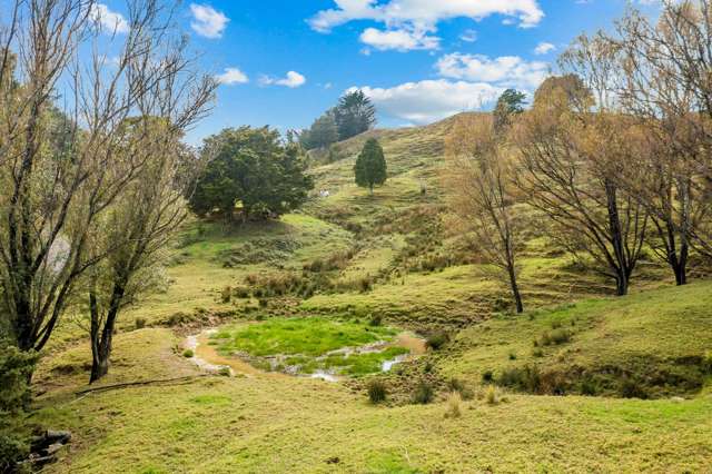 1350 State Highway 12, Rawene Kaikohe Rd3_4