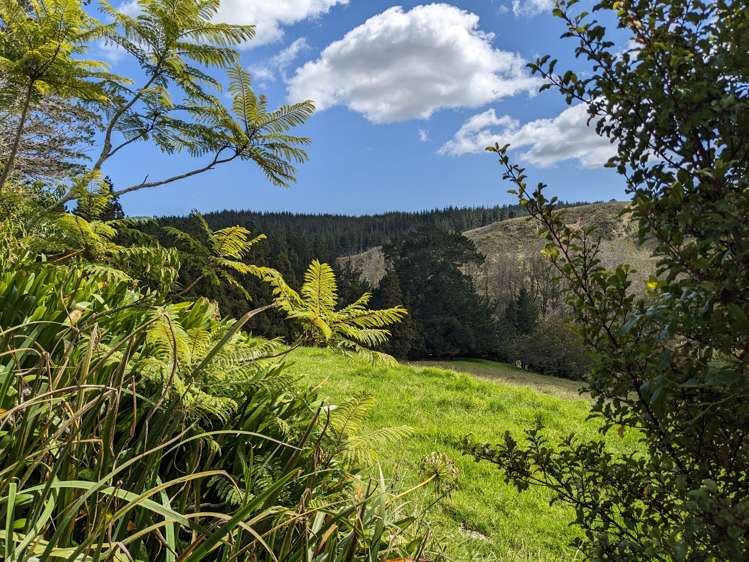 360 Burnside Road Makarau_8