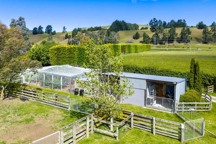 1944 State Highway 63 Wairau Valley_7