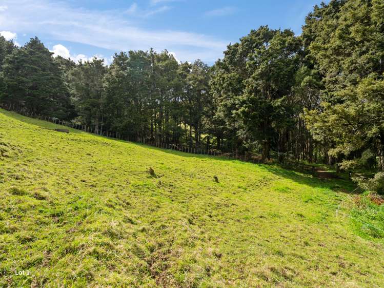 Lot 1 or Lot 2, 0 Roydon Drive Ruatangata West_11