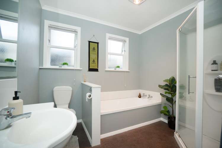 4a Freyberg Street Roslyn_6