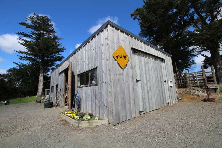 133 Colville Road Dargaville_4