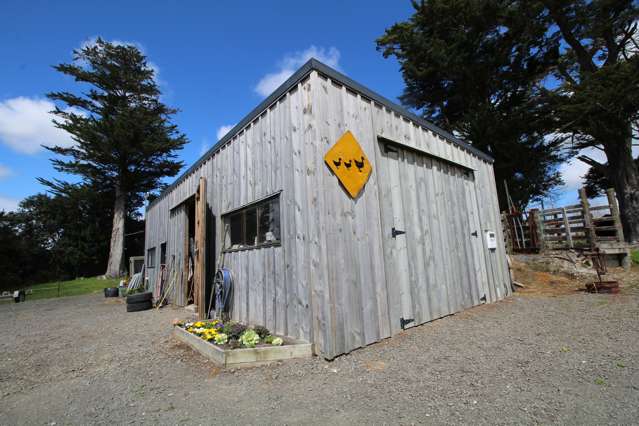 133 Colville Road Dargaville_4