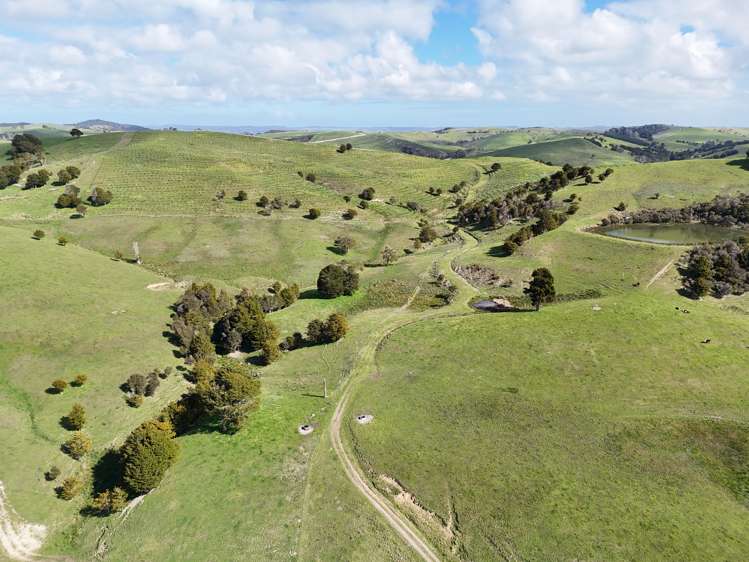 435 Parahi Road Ruawai_19