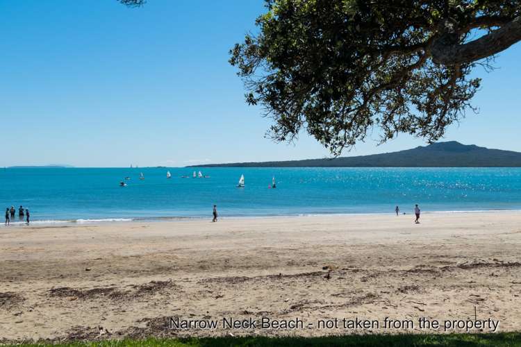 10 Handley Avenue Narrow Neck_5