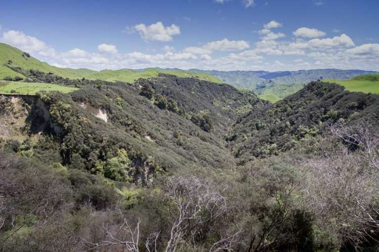 4064 State Highway 4 Kakatahi_19