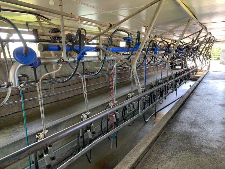 2442 Mountain Road Tariki_3