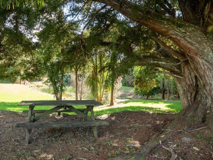 815 Waimate North Road Kerikeri_40