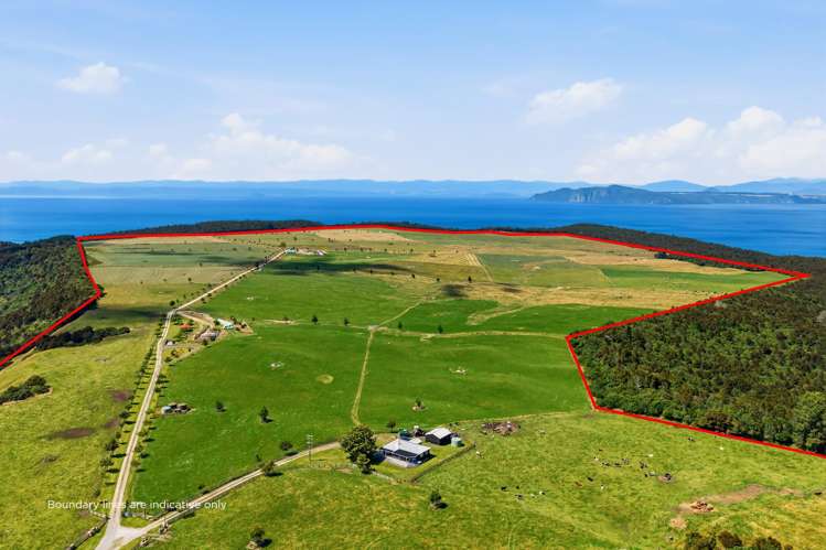 550 Puketapu Road Marotiri_3