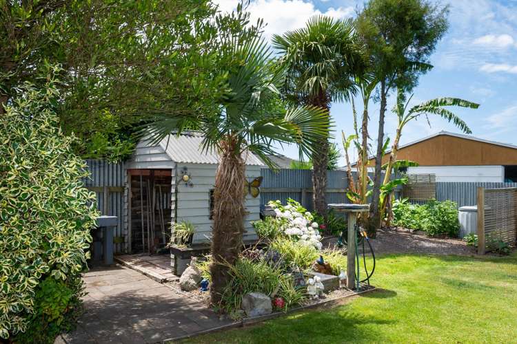 12A Osier Road Greenmeadows_13