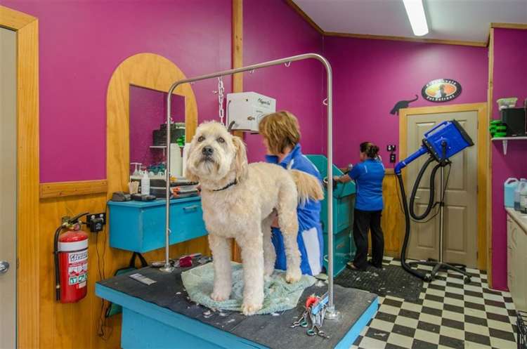 57 Pearson Road Cromwell_25