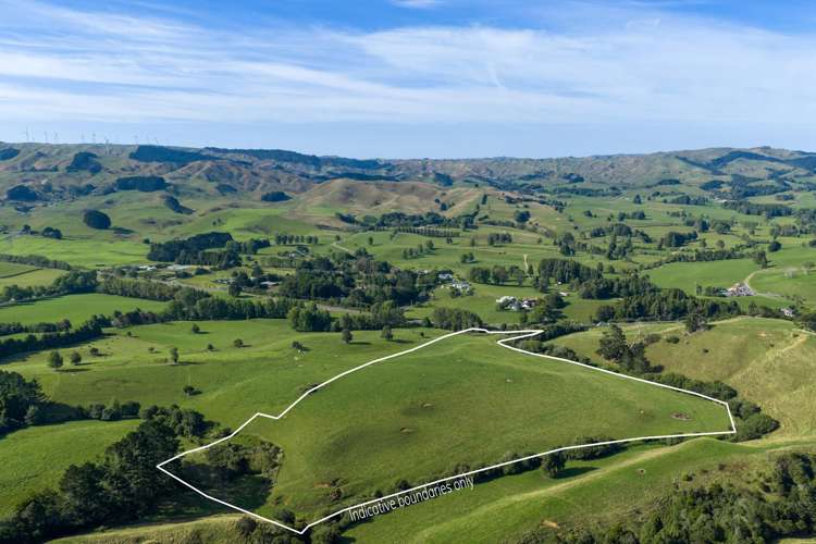 Lot 2 DP13672 and Section 2 SO 621742 State Highway 23 Raglan_4