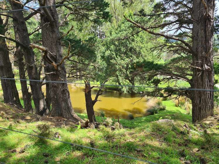 1321 Pack Spur Road Mataikona_29